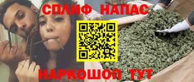 каннабис Дубна