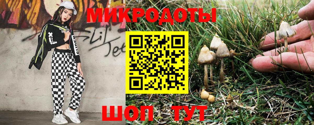 Михайловка  Галлюциногенные грибы мицелий  Псилоцибиновые грибы прущие грибы  Вход с VPN 